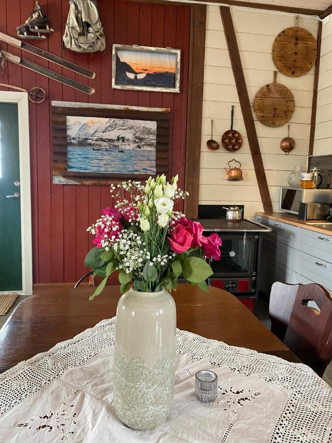 Kraemarvika Lodge Tromso Bagian luar foto